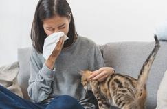Allergie: comment cohabiter avec un animal de compagnie?