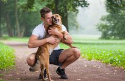 L'amitié entre le chien et l'homme, une affaire hormonale