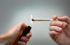 Cannabis: la rétine serait moins réactive chez les fumeurs réguliers