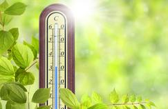 Jardin: comment aider les plantes à supporter la sécheresse