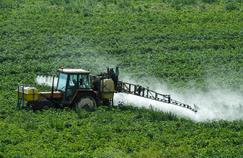 Glyphosate : l’UE reporte le vote sur le pesticide controversé
