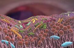 Autisme : la piste prometteuse des bactéries intestinales