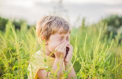 Pollens: risque d’allergie très élevé dans la moitié des départements