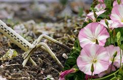Comment s'y prendre pour désherber sans glyphosate