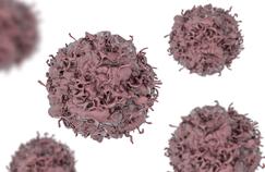 Cancer : des traitements personnalisés en fonction de l’ADN de la tumeur