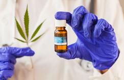 Cannabis médical: un comité d’experts juge son autorisation «pertinente»