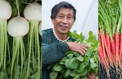 Les sublimes légumes d’Asafumi Yamashita