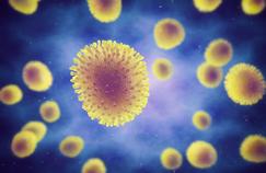 Grippe: l’OMS a décidé de la composition du prochain vaccin