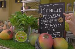 France 5 enquête sur l’immense gaspillage de la mangue 