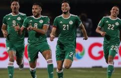 Coupe d’Afrique des nations: la finale Sénégal/Algérie sur TMC