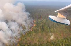Feux de forêt en Sibérie: un impact environnemental préoccupant