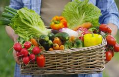 Fruits et légumes bio: la grande distribution impose-t-elle vraiment des surmarges?