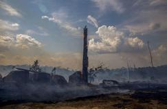 Incendies de forêt: la situation s’aggrave-t-elle vraiment au Brésil et dans le monde?