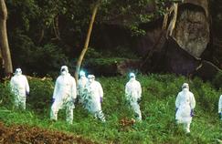 Les chasseurs de virus veulent empêcher la prochaine pandémie mondiale