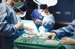 Les greffes d’organes repartent à la hausse en France 