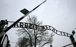 Auschwitz&nbsp;: les jeunes face au «devoir de mémoire» de la Shoah