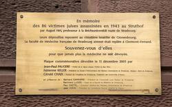 Des restes de victimes du nazisme découverts à l’université de Strasbourg
