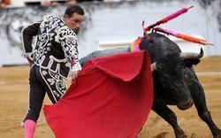 Espagne&nbsp;: tollé autour de la création d’un bac pro «torero»