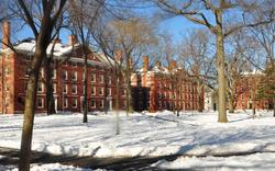 Harvard: une étudiante agressée sexuellement forcée de vivre avec son assaillant