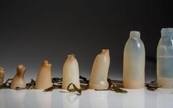 Un étudiant islandais crée une bouteille d’eau entièrement biodégradable