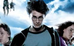 Une école Harry Potter ouvre ses portes dans le Lot-et-Garonne