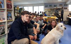 Ce lycée a embauché un chien « médiateur&nbsp;» pour éviter les conflits entre élèves