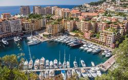 L’Université internationale de Monaco veut «faire de la principauté un campus»