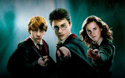 Abandon des filières S, ES et L: un lycée donne des noms de classes Harry Potter