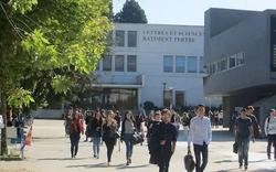 Triche: plus de 250 cas de plagiat durant les examens à l’université de Nantes