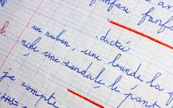 Le niveau en français des élèves stagne selon une étude