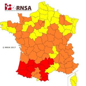 Carte de vigilance des pollens du RNSA valable jusqu’au 26 mai.