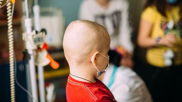 Leucémie et cancer du cerveau chez l’enfant : les insecticides en question