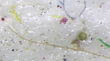 Pollution: il neige des particules de plastique dans les Alpes et l’Arctique