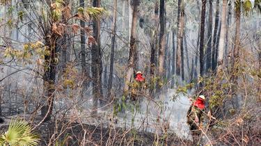 La Bolivie aussi peine à contenir ses incendies