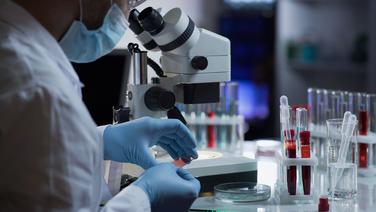 Covid-19: qui pourra recevoir des anticorps monoclonaux en France?
