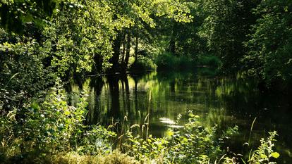 Au milieu d’une vallée coule une rivière: l’Ouche, qui longe sur des kilomètres le canal de Bourgogne.