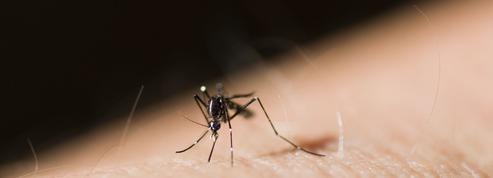 Le réchauffement climatique pourrait faire reculer le paludisme en Afrique de l’Ouest