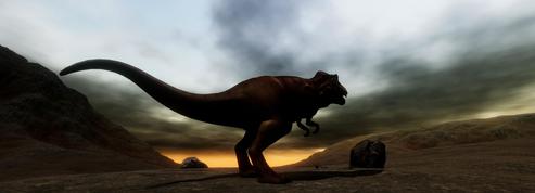 Datant OS de dinosaures