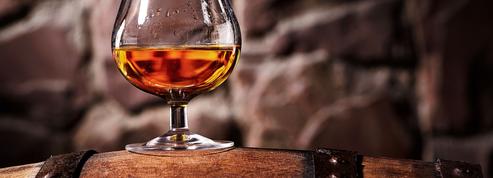 Les expéditions de cognac ont battu des records en 2019
