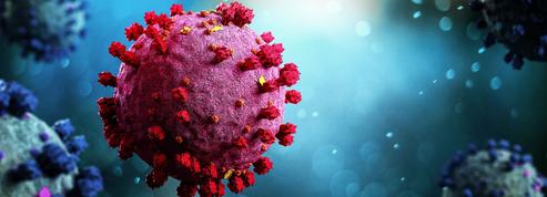 Covid-19: une variante génétique décelée en janvier a rendu le virus plus contagieux