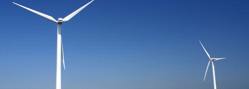 «Ne sous-estimons pas les dégâts écologiques qu’engendreront l’installation de 15.000 nouvelles éoliennes»