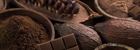 Du chocolat équitable «made in France»