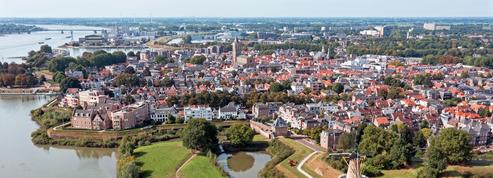 Les Pays-Bas, champions des mini-forêts urbaines