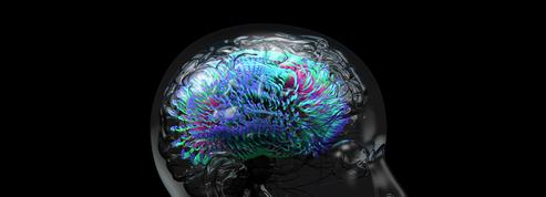 Une impressionante ébauche d’atlas du cerveau