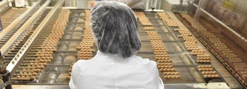 Ferrero France investit 36 millions pour moderniser son usine