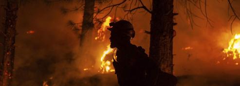 Climat: des incendies de plus en plus fréquents et intenses en forêt