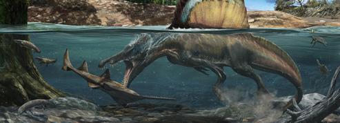 Le spinosaure, premier dinosaure aquatique