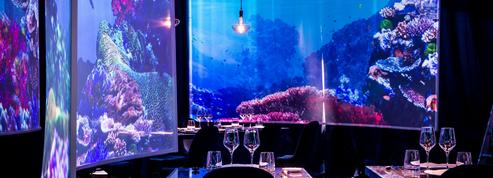 Under the sea par Ephemera à Paris: que vaut le premier restaurant immersif de France?