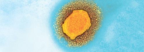 Cette mystérieuse épidémie de «Monkeypox» transmise d’homme à homme en Europe