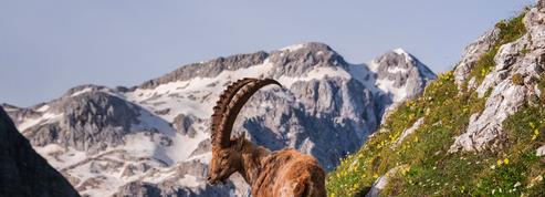 Aventures autour du mont Blanc :Alexandre Dumas en haute montagne